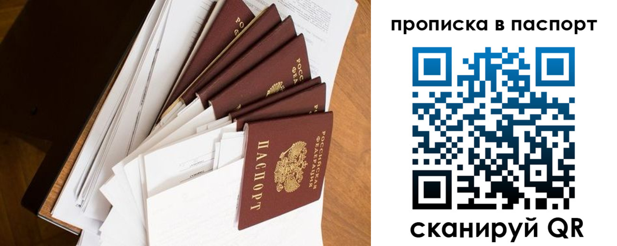 прописка штамп в Камышине